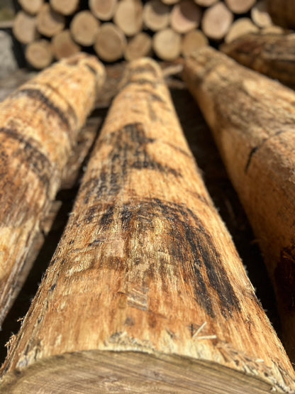 Rundholz Eiche
